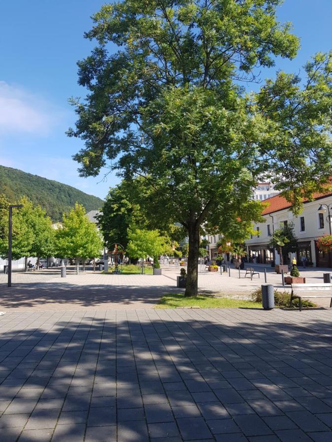 Pikk Trencianske Teplice Lägenhet Exteriör bild